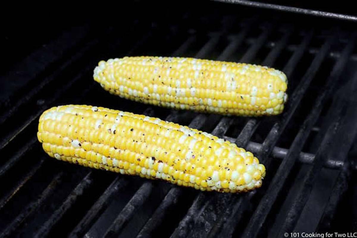 corn on the cob with salt and pepper on white plate,