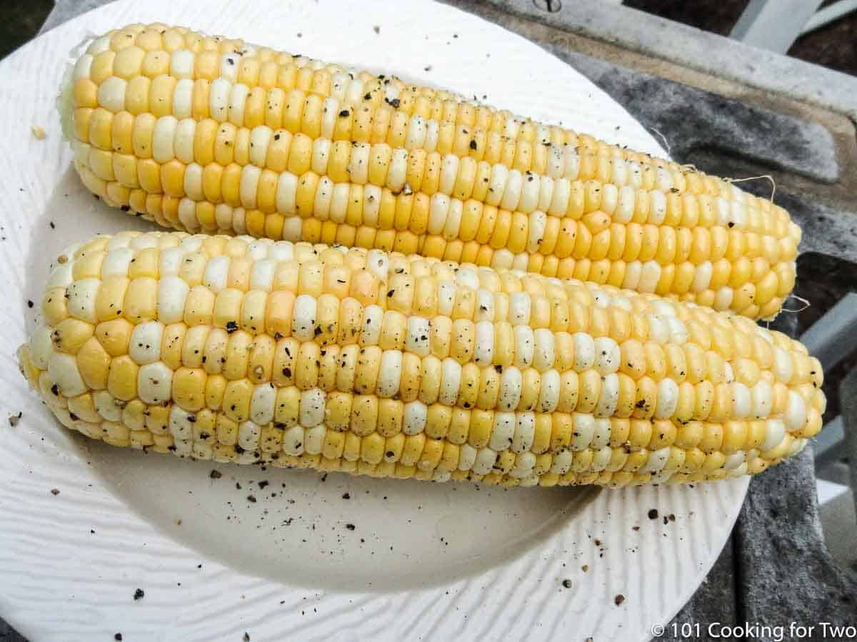 corn on the cob with salt and pepper on white plate