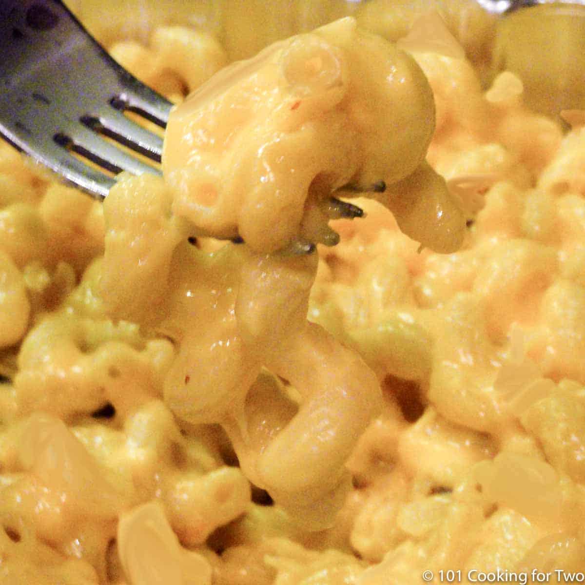 browned mac and cheese