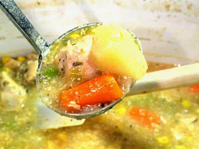 Closeup of chicken stew in a laddle
