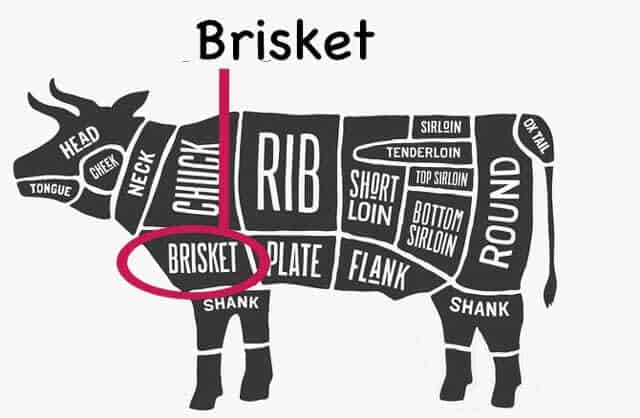 location of brisket--Image licensed May 16, 2017, from Fotolia. Copyright by foxysgraphic - Fotolia. Image modified in accordance with the license.