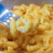 mac and cheese on fork