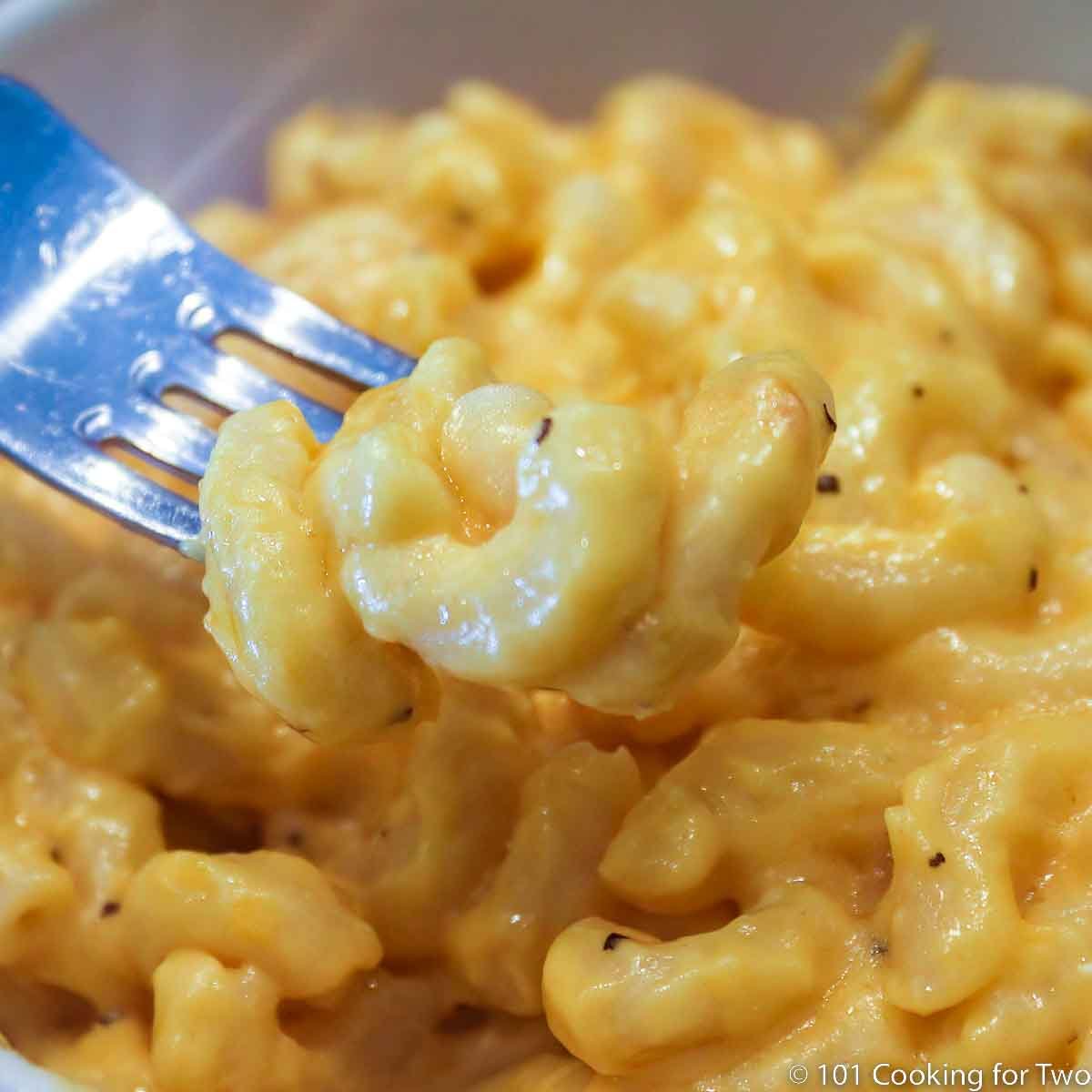 mac and cheese on fork