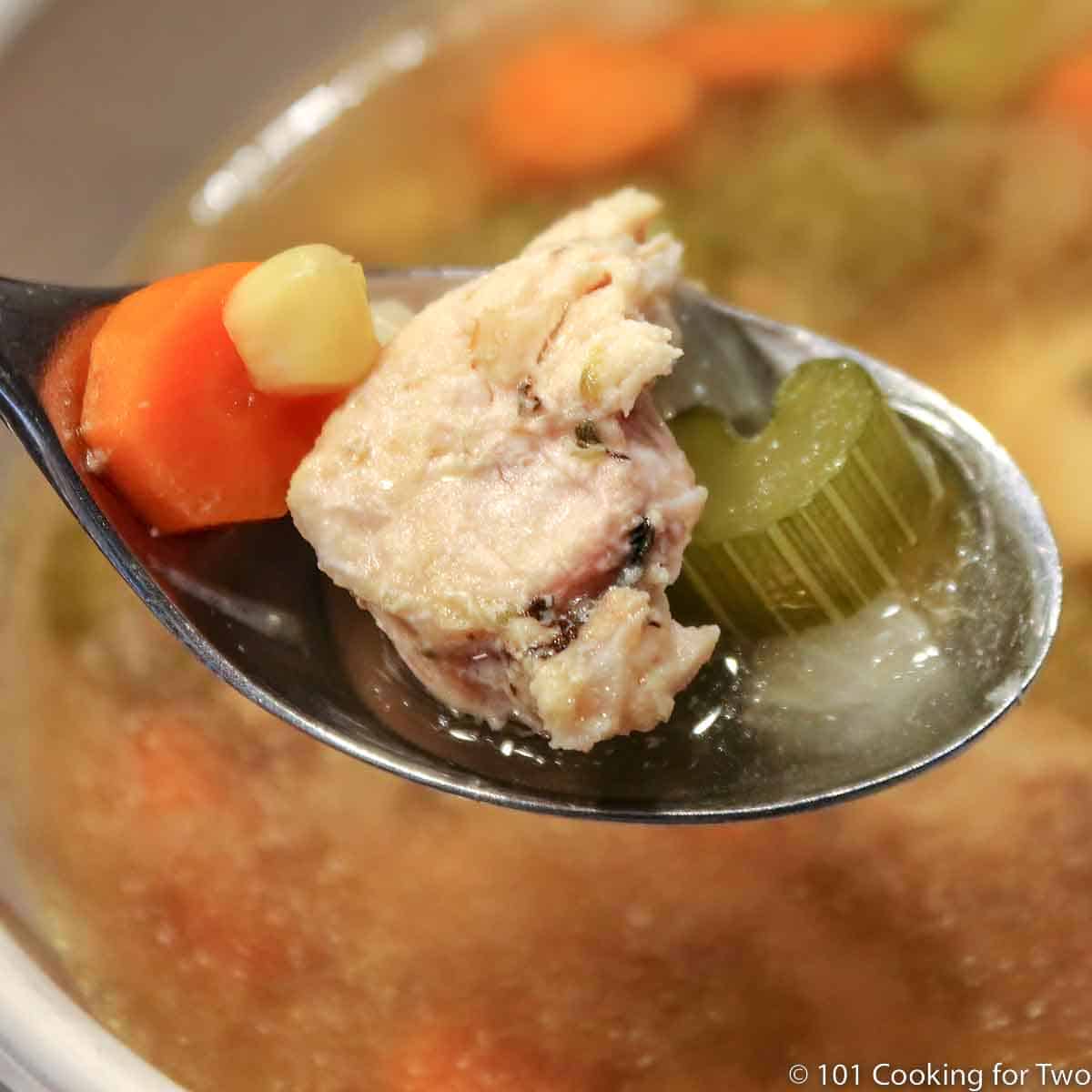 chicken vegetable soup in spoon