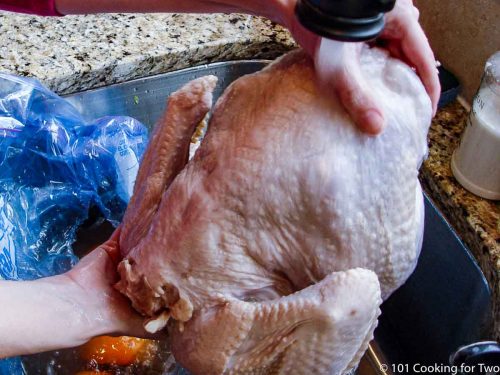 How to Brine a Turkey—A Basic Brine with Enhancements - 101 Cooking For Two