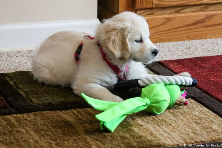 baby Lilly with green toy.