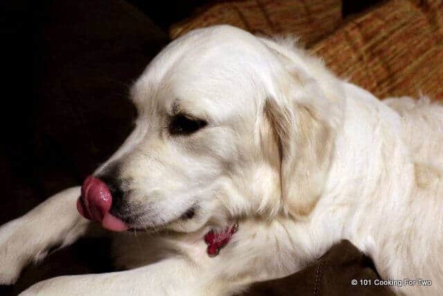 Molly tongue