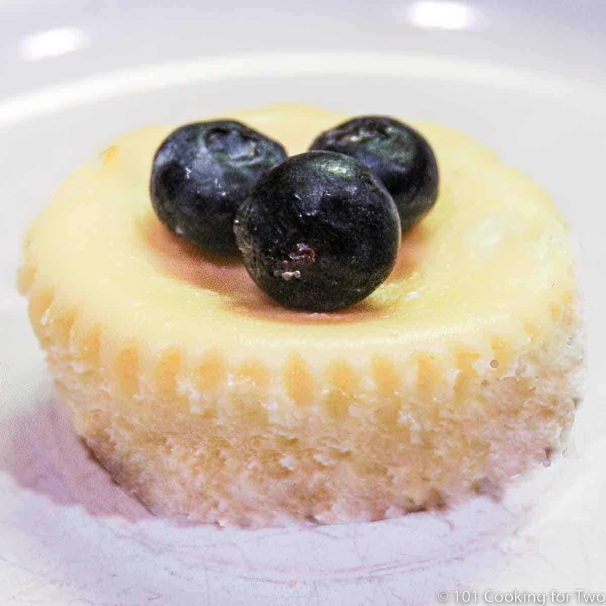 cheesecake cupcake with berries.