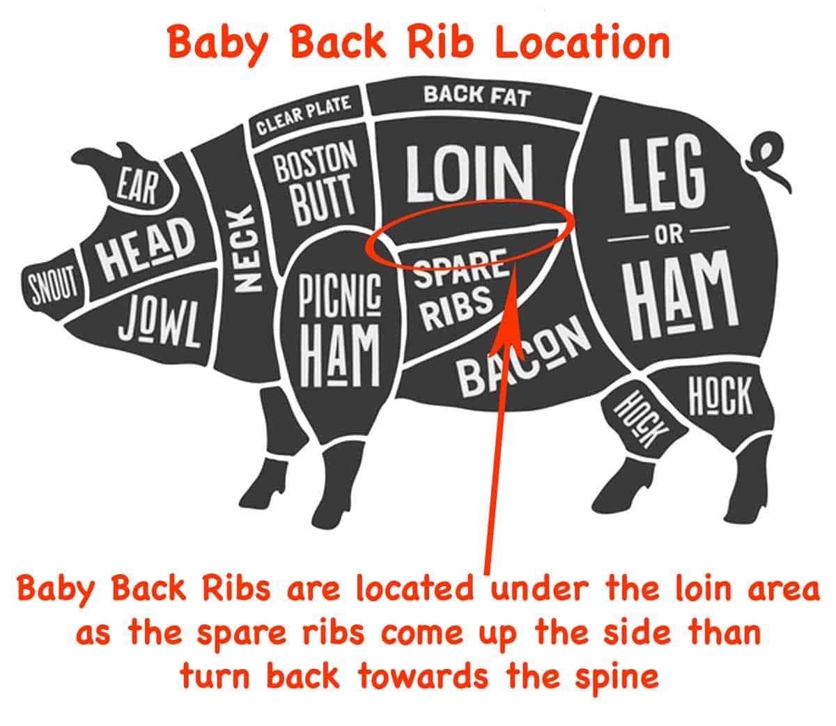 graph showing location of baby back ribs - Image licensed May 17, 2017, from Fotolia. Copyright by foxysgraphic - Fotolia. Image modified in accordance with the license.