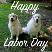 Happy Labor Day from Molly and Lilly