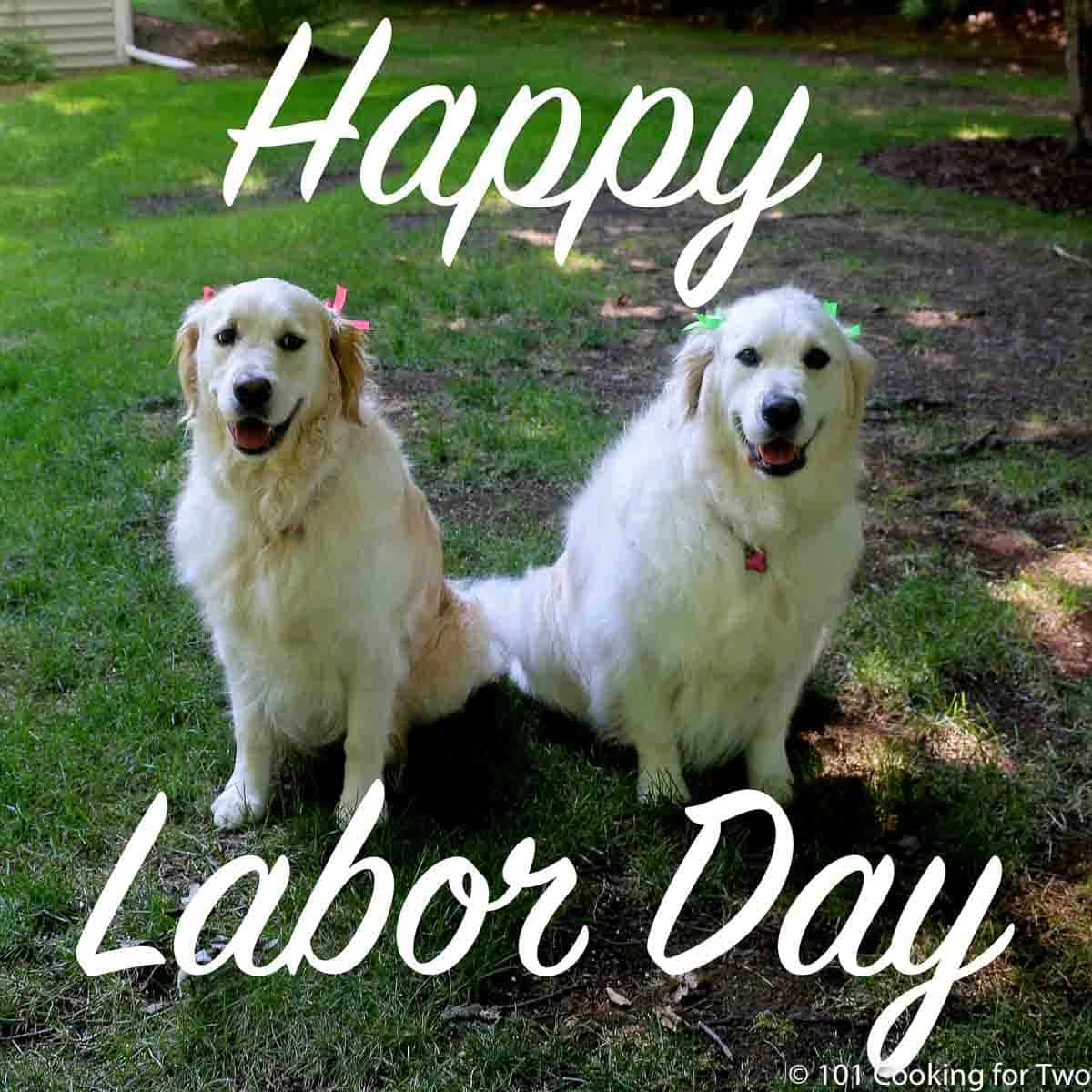 Molly and Lilly dogs with bows wishing you happy Labor Day
