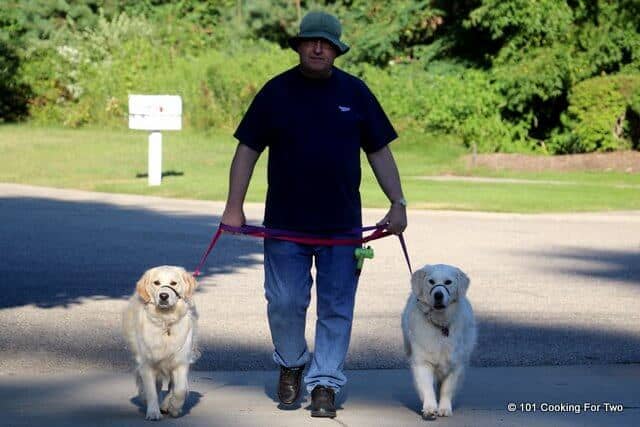 Tornando dalla passeggiata con il cane