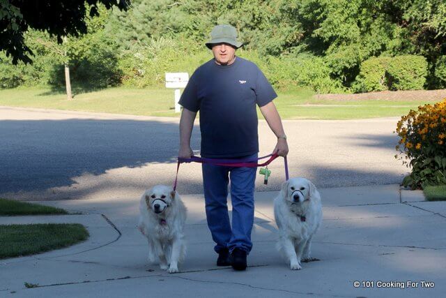 heading home with the dogs on leash