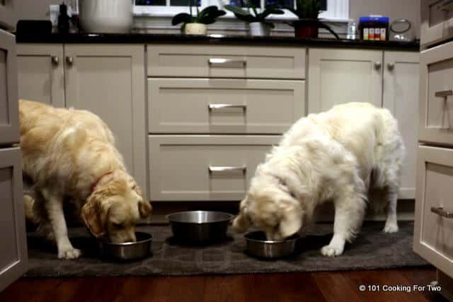 image of Lilly and Molly dogs eating in the kitchen