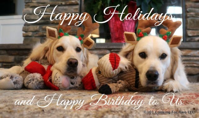 image of Lilly and Molly dogs posed with antilers for Holiday Picture 2015