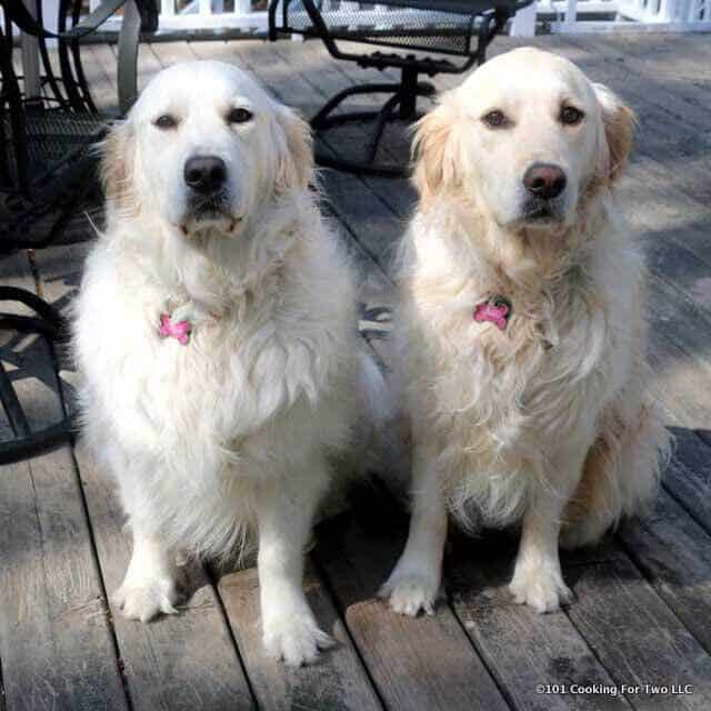 Deck Puppies