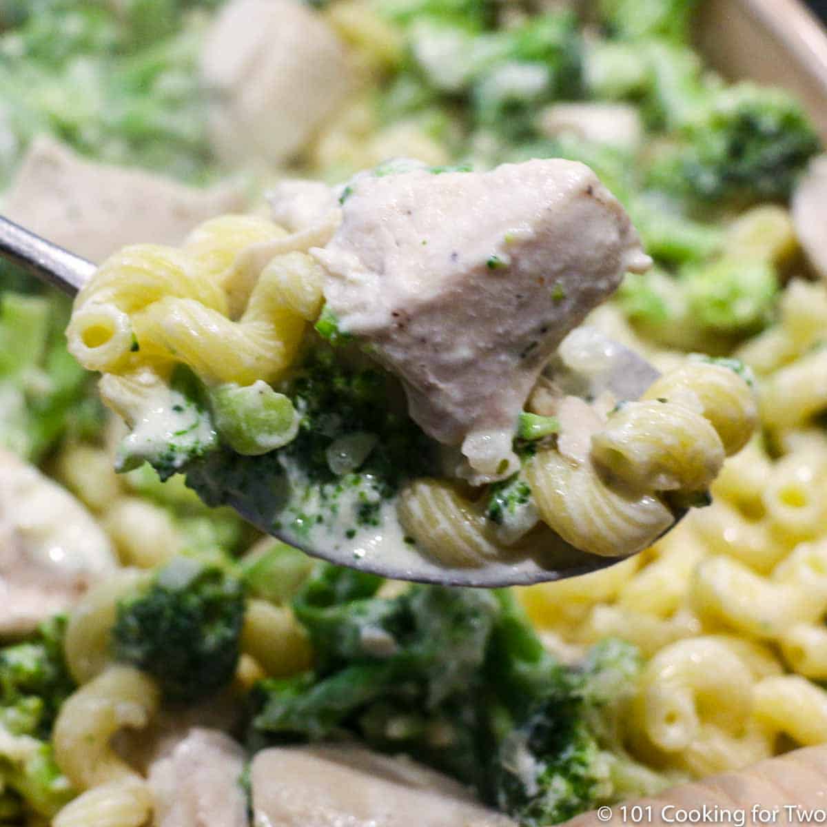 Spoonful of Boursin Cheese Sauce with Chicken and Pasta