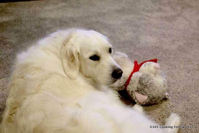 Molly with a soft toy