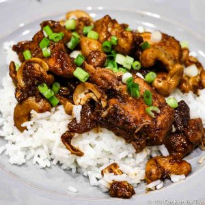 Image of Cashew Chicken on rice and a gray plate