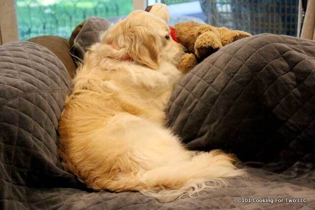 Lilly on a sofa with a stuffed toy