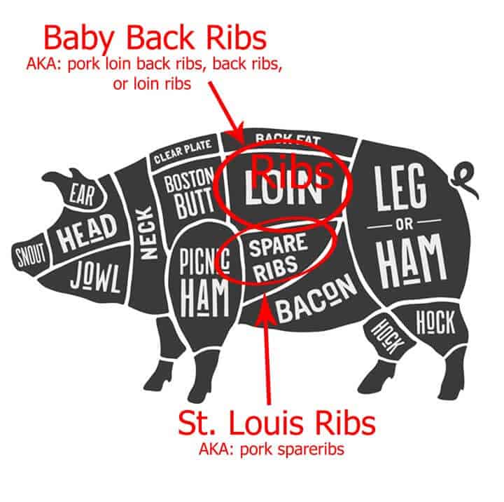 graphic with location of baby back ribs -Image licensed May 17, 2017, from Fotolia. Copyright by foxysgraphic - Fotolia. Image modified in accordance with the license.