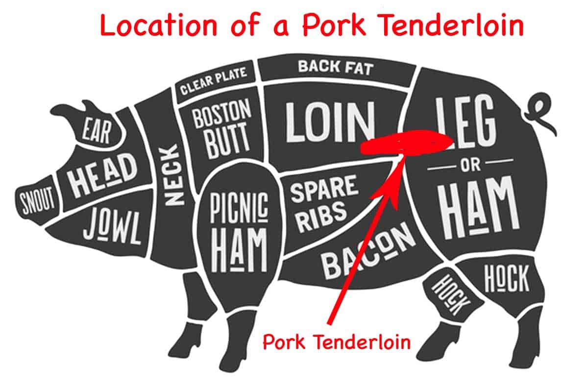 chart with the location of pork tenderloin - Image licensed from Fotolia May 20, 2017. Copyright foxysgraphic. Modified per allow by licensed.