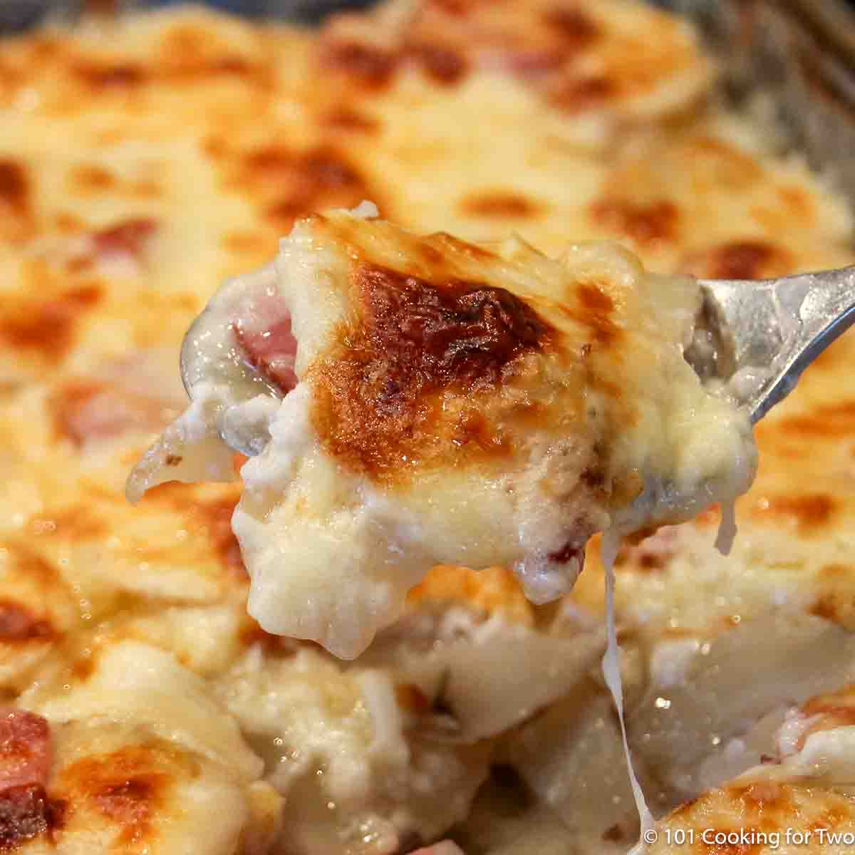 scalloped potatoes and ham on a fork.