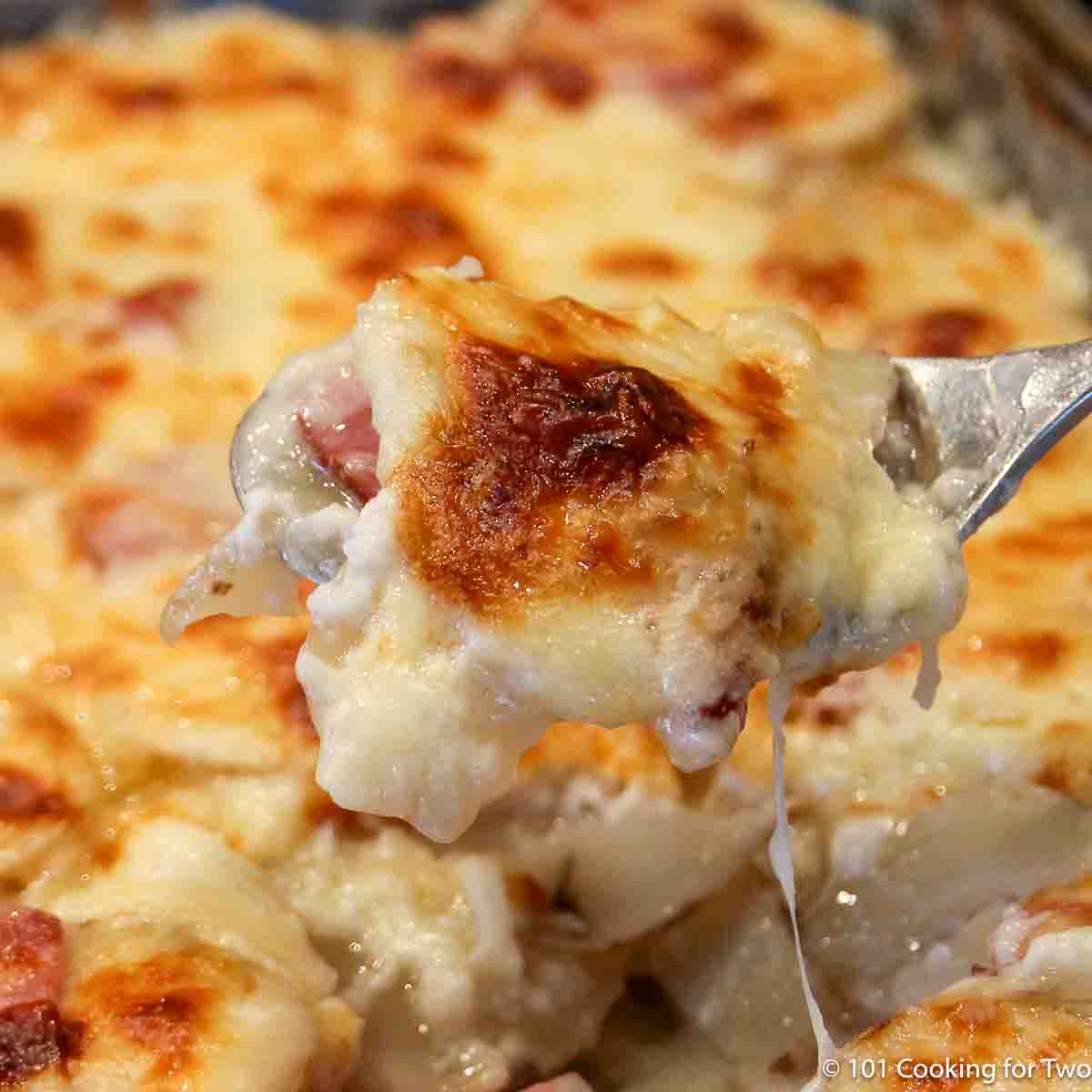 Everyday Scalloped Potatoes and Ham 101 Cooking For Two