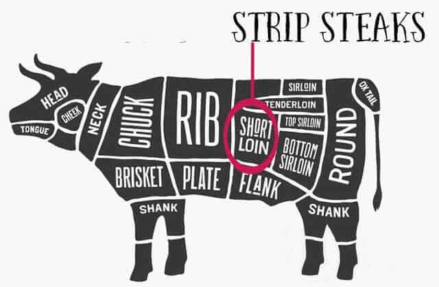 image of a cow with the location of strip steak