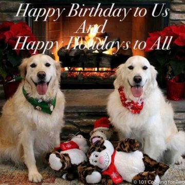 Dogs smiling with toys and a fireplace