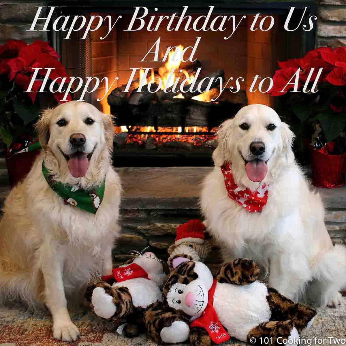 image of Lilly and Molly dogs posed infront of fire for Holiday Picture 2017