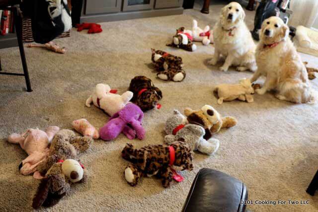 Dogs with toys lined up on an a brown carpet.