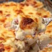 Scalloped Potatoes and Ham on a fork
