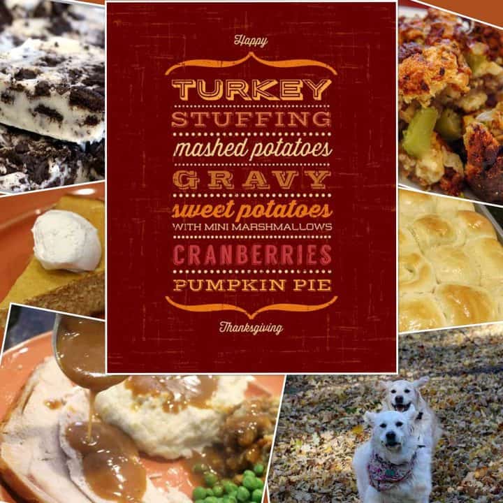 Smaller Thanksgiving Recipes