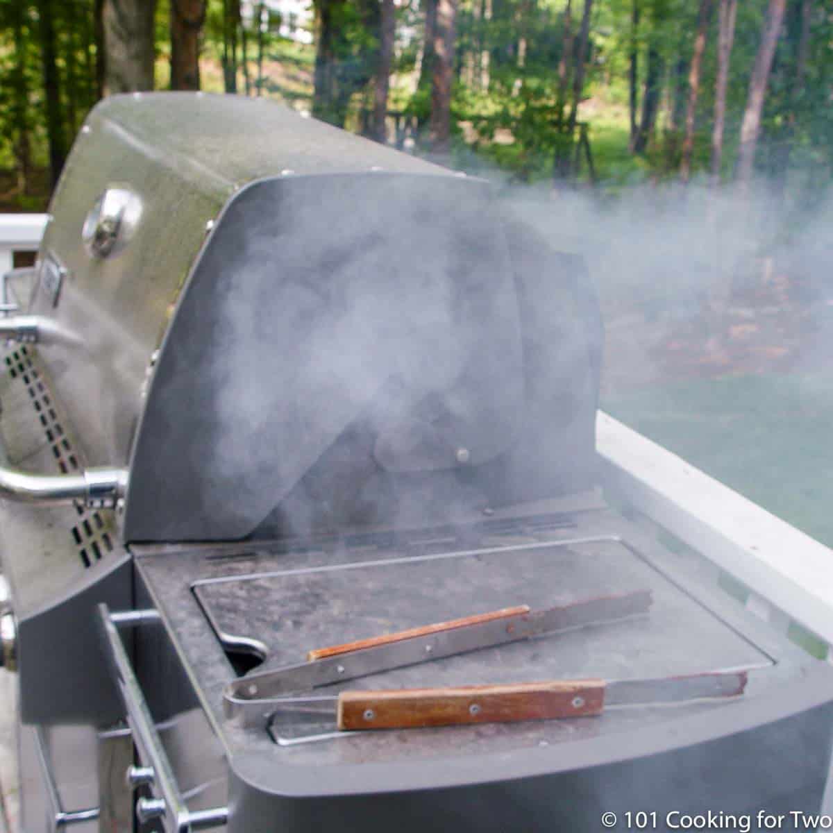 Slow Grilled Bone In Country Style Pork Ribs 101 Cooking For Two