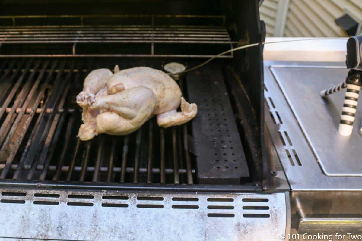 chicken on the grill with thermometers.
