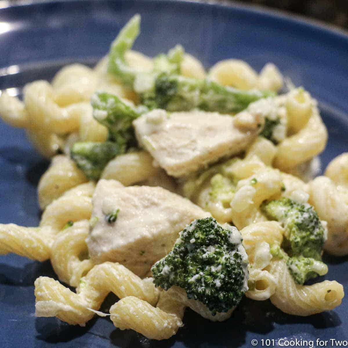 chicken and broccoli on pasta on blue plate/