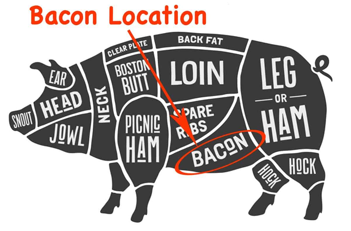 graphic with location of bacon on the pig. Image licensed from Fotolia. Copyright by foxysgraphic - Fotolia. Image modified in accordance with the license.
