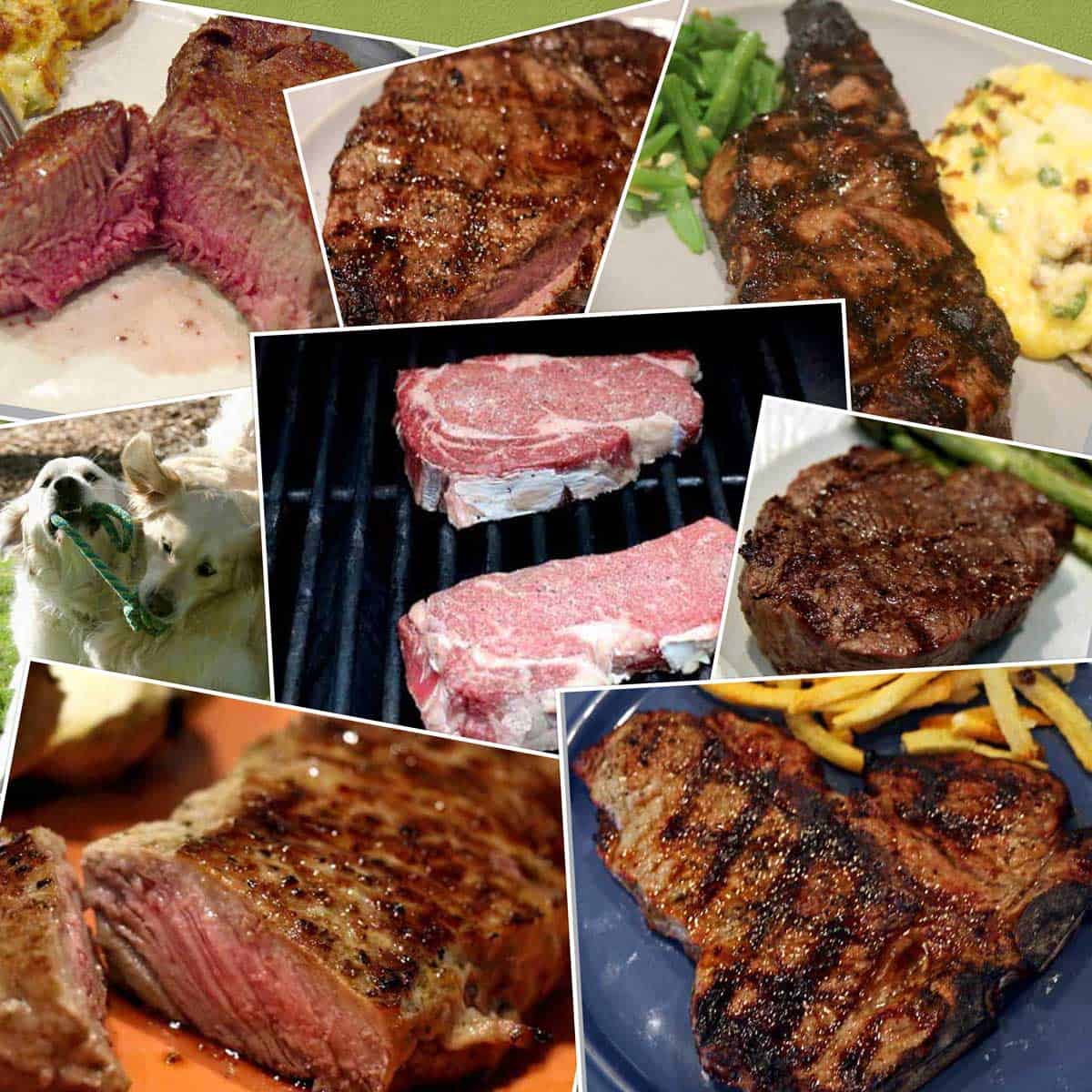 multiple steaks collage