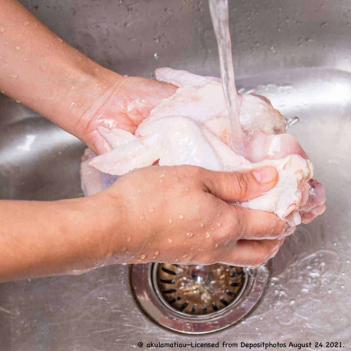 rinsing chicken wings._@ akulamatiau—Licensed from Depositphotos August 24 2021.