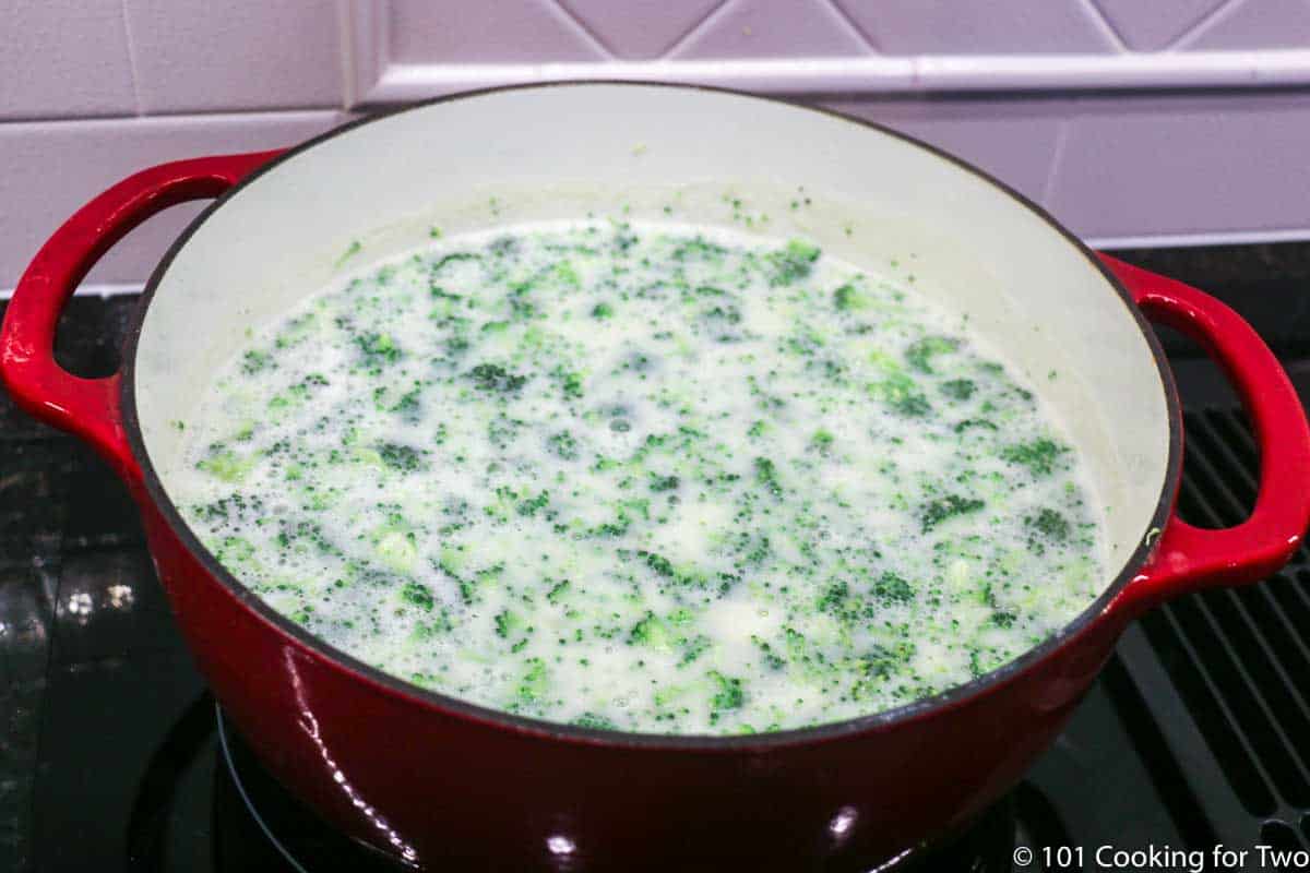 broccoli added to the soup pot