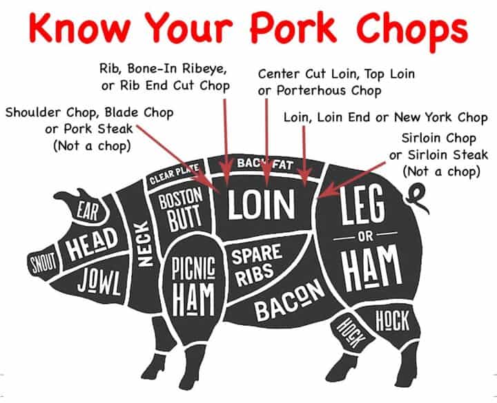 graphic for pork chop location- licensed from Fotolia May 16,2017. Copyright foxysgraphic - Fotolia. Modified per allow by licensed.