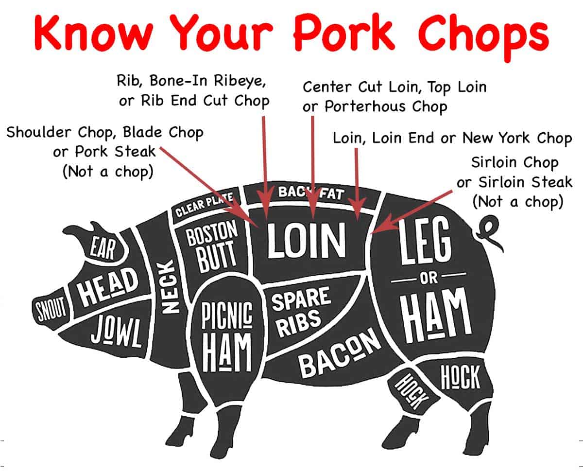 graphic for pork chop location- licensed from Fotolia May 16,2017. Copyright foxysgraphic - Fotolia. Modified per allow by licensed.