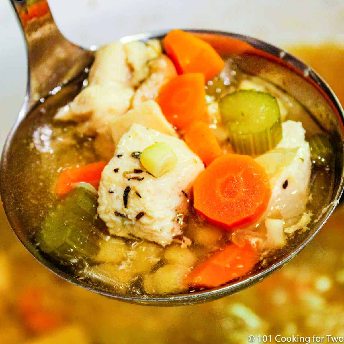ladle of chicken vegetable soup.