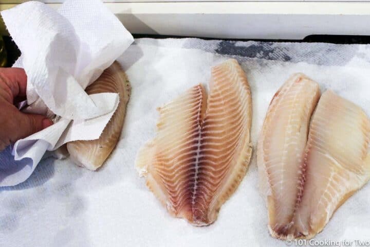 drying tilapia filets with paper towel