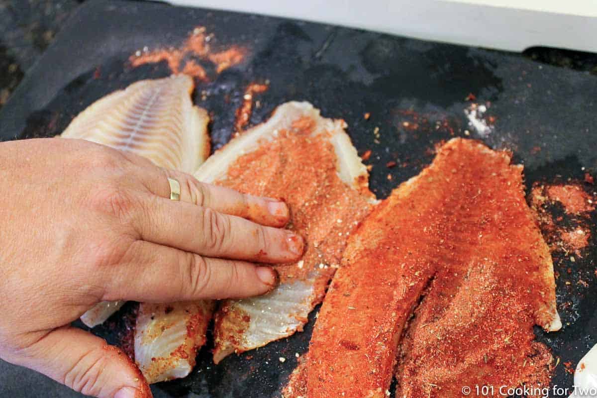 rubbing spices onto tilapia