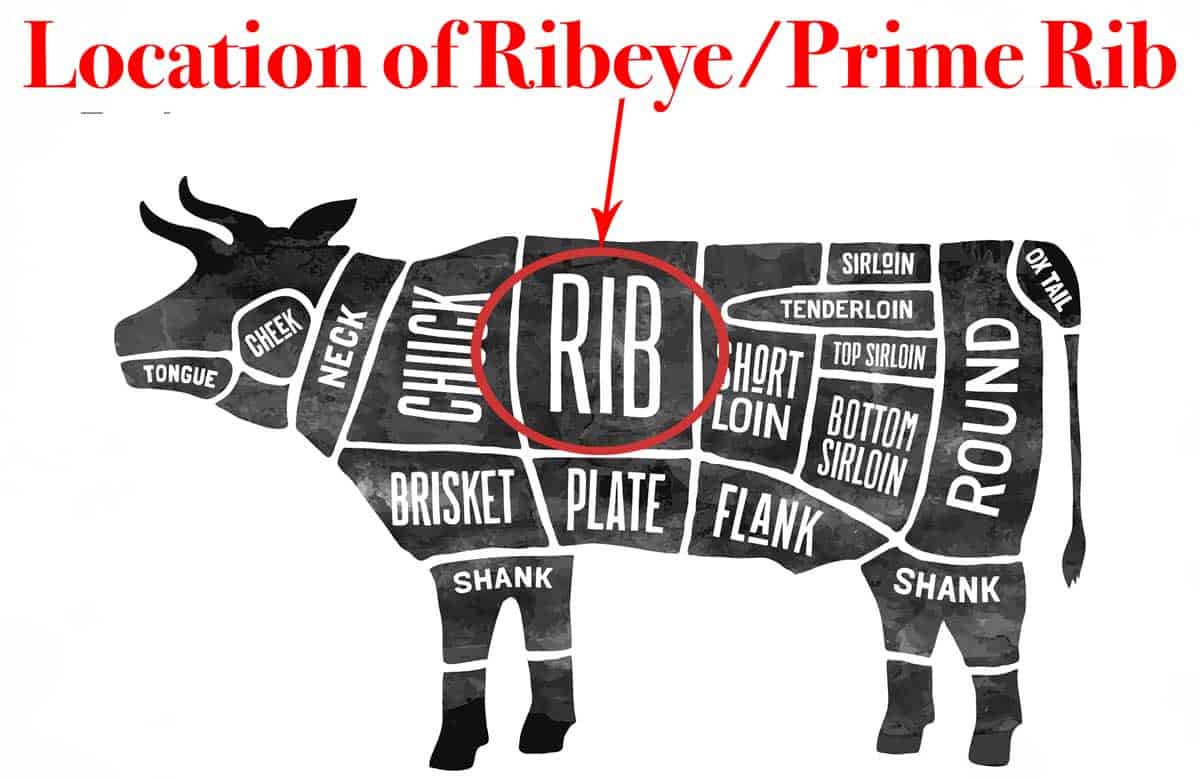 Location of ribeye—Image licensed May 16, 2017, from Fotolia. Copyright by foxysgraphic - Fotolia. Image modified in accordance with the license.