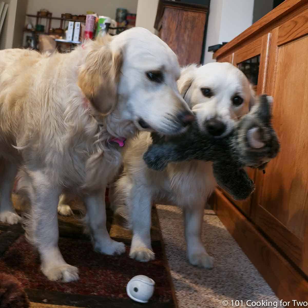 Lilly and Molly with the Easter Bunny. The bunny is in trouble.