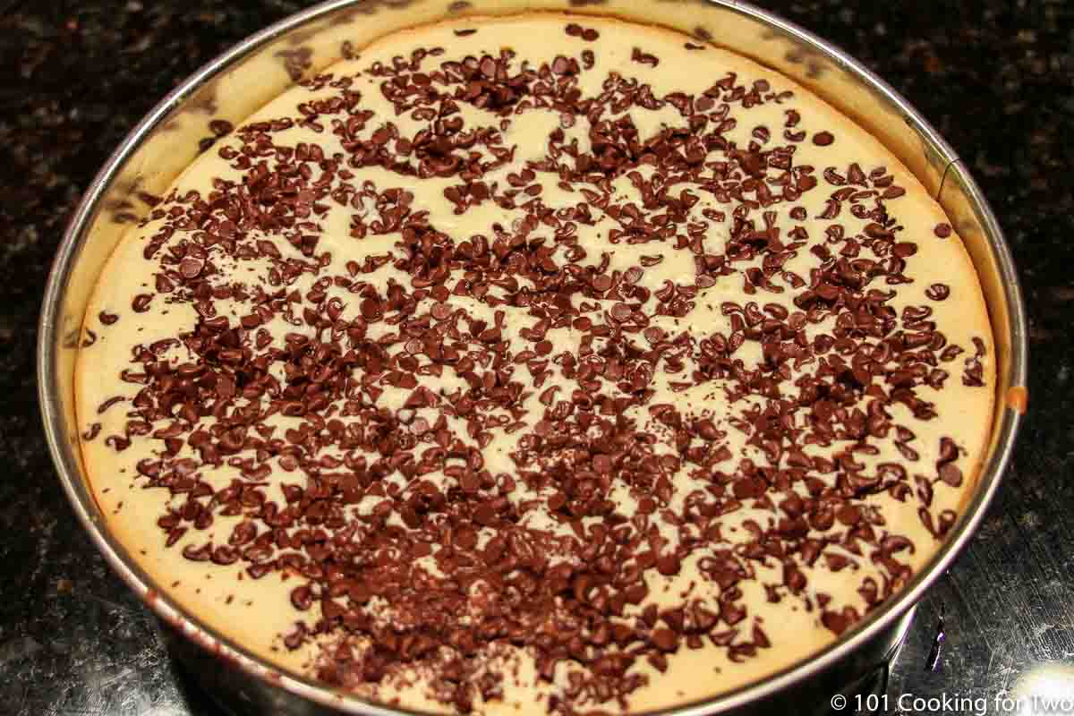 cooked cheesecake out of the oven