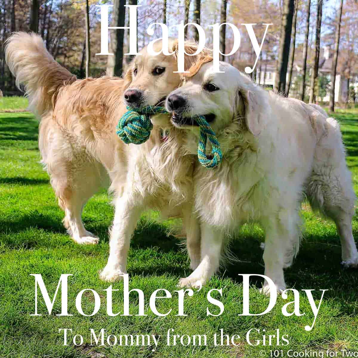 Mothers Day graphic with dogs.